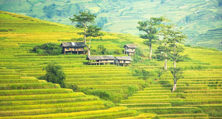 Day 3: Hanoi - Mai Chau (Breakfast, Lunch, Dinner)